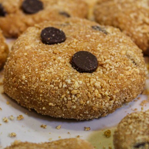 Chocolate Chip Cookie Dough Protein Bites Recipe